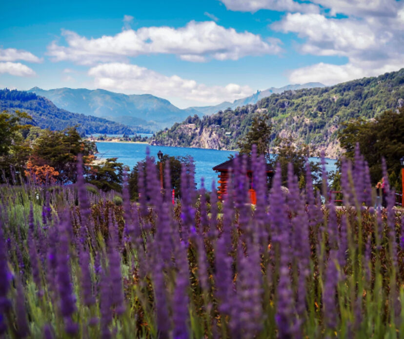 Destinos más visitados - Fotos de Bariloche, Rio Negro