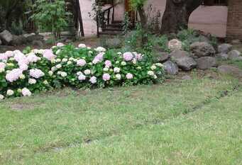 Foto 1 de la galería de los cerros en Luyaba