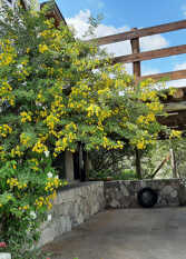 Foto 3 de la galería de Cabaña Las Tacuaras en Villa Giardino