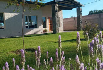 Foto 1 de la galería de Posada Rojo Malbec en San Rafael