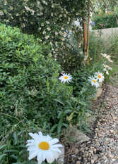 Foto 4 de La Antonia Casa de Descanso. en Villa General Belgrano