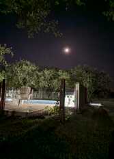 Foto 3 de la galería de El Paihuen en Los Molles