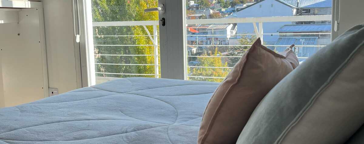 Foto principal de Mono con Vista en Ushuaia