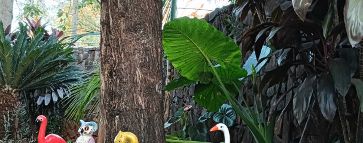 Foto principal de CASA CABURE en Puerto Iguazú
