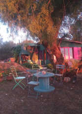 Foto 4 de La Picarita en La Cumbre
