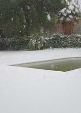Foto 4 de La Casita de Blanco en Lujan De Cuyo