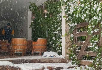Foto 1 de la galería de La Casita de Blanco en Lujan De Cuyo