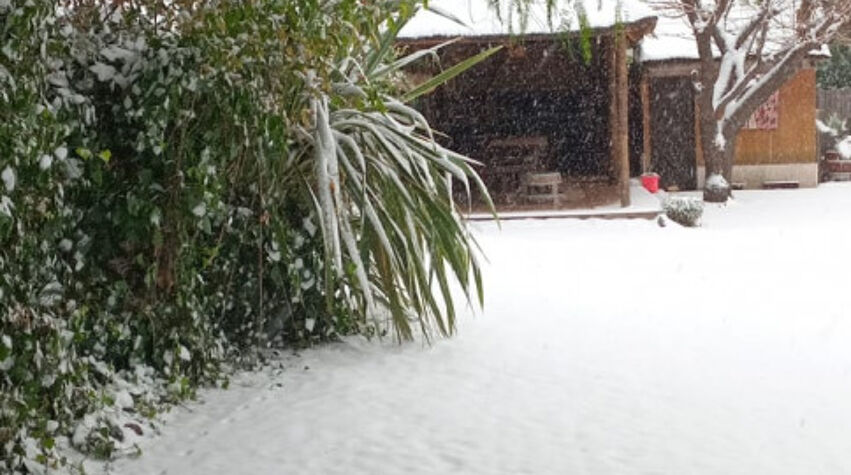 Foto principal de La Casita de Blanco en Lujan De Cuyo