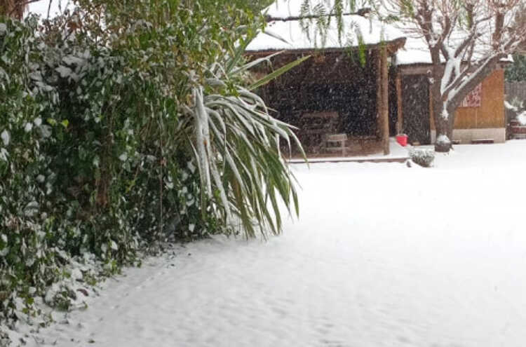Foto principal de La Casita de Blanco en Lujan De Cuyo
