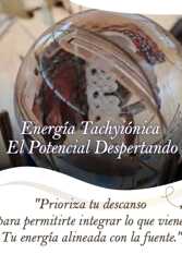 Foto 3 de la galería de Estación Tachyon, Timalu en San Esteban