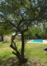 Foto 2 de la galería de Cabañas La Mora en Mina Clavero