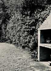 Foto 3 de la galería de Casa Flora en Chacras de Coria