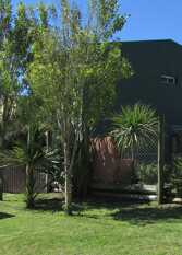 Foto 2 de la galería de COMPLEJO PLAYAS DEL SUR a Una Cuadra del Mar en Mar Del Plata