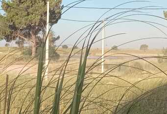 Foto 1 de la galería