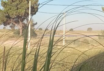 Foto 1 de la galería de Refugios de Marisol en Balneario Oriente