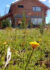 Foto 2 de la galería de Cabañas Upenen en Villa Pehuenia