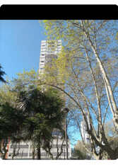 Foto 3 de la galería de Monoambiente céntrico y cálido en Mar Del Plata