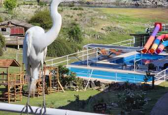 Foto 1 de la galería de Cabañas La Bahía Escondida en Potrero De Garay