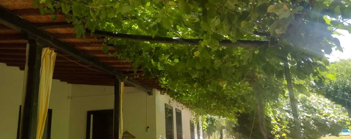Foto principal de Finca Los Franciscos en Medrano