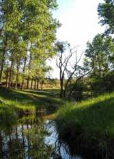 Foto 2 de la galería de Complejo Aguila Blanca - Camping & Cabañas en Villa Icho Cruz