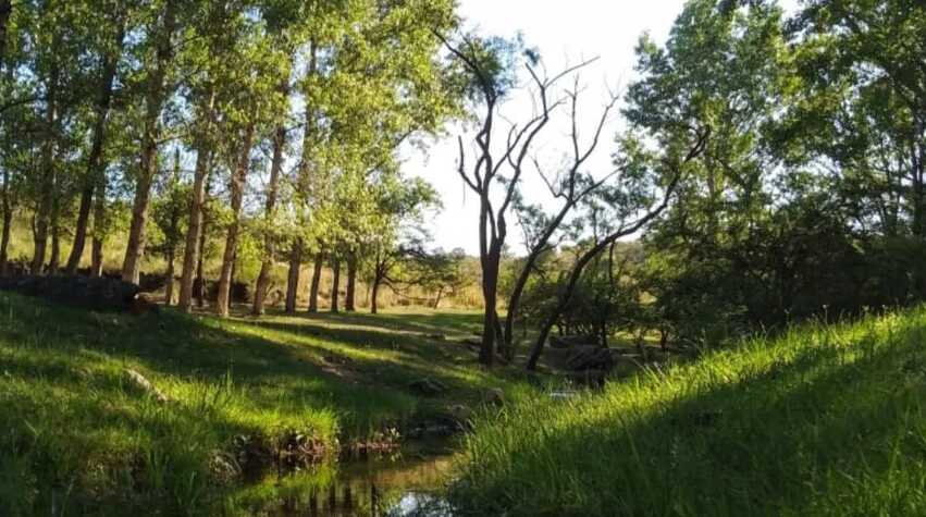 Foto principal de Complejo Aguila Blanca - Camping & Cabañas en Villa Icho Cruz