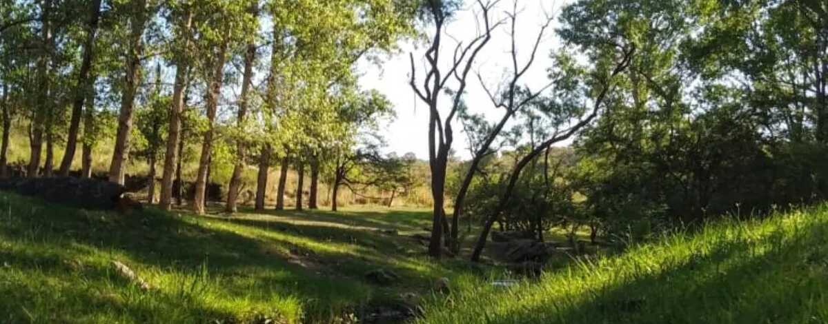 Foto principal de Complejo Aguila Blanca - Camping & Cabañas en Villa Icho Cruz