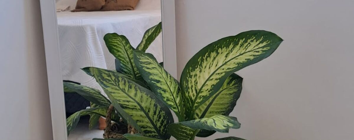 Foto principal de Departamento Vissia en Villa Carlos Paz