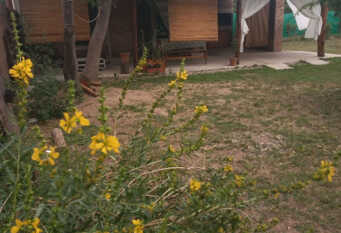 Foto 1 de la galería de Cabaña Los Espinillos de la Quintana en Comuna Villa San Isidro