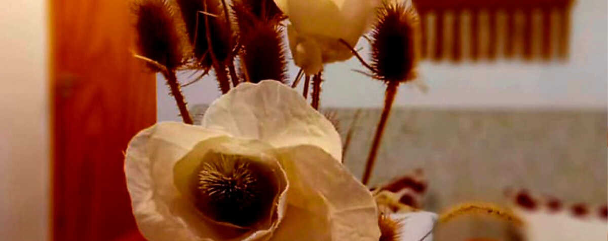 Foto principal de Cabañas Flor de Lis en Valle Hermoso
