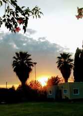 Foto 2 de la galería de Complejo Finca Los Aromos San Juan AR en Medano De Oro