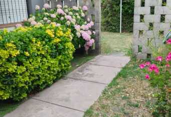 Foto 1 de la galería de Complejo El Tuyú en Villa Gesell