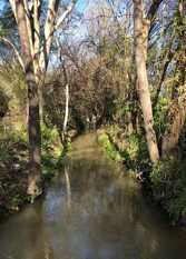 Foto 2 de la galería de Cabañas AMOQ en Santiago Del Estero