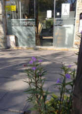 Foto 3 de la galería de HOTEL FRANCIA en San Rafael