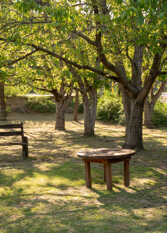 Foto 3 de la galería de Cabañas Trancas y Barrancas en Salsipuedes