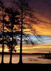 Foto 2 de la galería de Residencial Golondrinas en Chajari