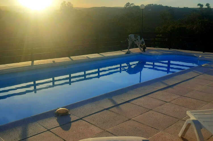 Foto principal de Cabañas lo de Jose en Tanti