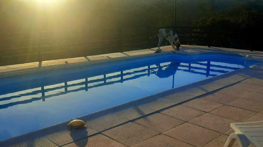 Foto principal de Cabañas lo de Jose en Tanti