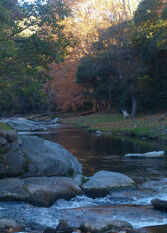 Foto 2 de la galería de Cabaña Naguan en Valle Hermoso