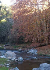 Foto 4 de Cabaña Naguan en Valle Hermoso