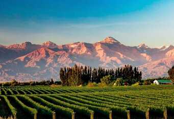 Foto 1 de la galería de Departamento Mendoza Capital en Ciudad De Mendoza