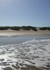 Foto 3 de la galería de Casa Melodía de Mar en Nueva Atlantis