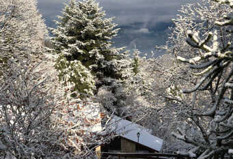 Foto 1 de la galería de Cabañas Las Lavandas. El Bolsón. en El Bolsón