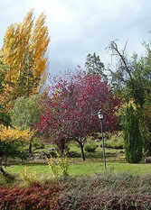 Foto 2 de la galería de Cabañas Las Lavandas. El Bolsón. en El Bolsón