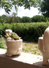 Foto 2 de la galería de Casa de campo  Dimedonde en Camet