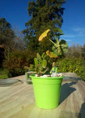 Foto 4 de Casa de campo  Dimedonde en Camet