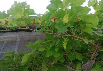 Foto 1 de la galería de Altos valles del sol en Cafayate