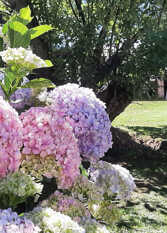 Foto 3 de Apart La Nona en San Lorenzo