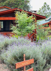 Foto 2 de la galería de Floresta Nativa - Casas de Montaña en Tanti