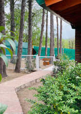 Foto 4 de Floresta Nativa - Casas de Montaña en Tanti