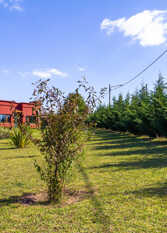 Foto 4 de Las Liebres Casa Quinta en Tandil